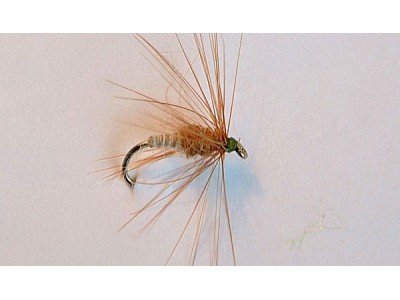 Wet-fly First Chance-1