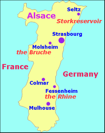 map of Alsace and the situation of Seltz (North of the department of Bas-Rhin) where you will find the stork reservoir